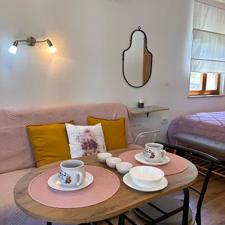 Paradiso Istriano - Oasi And Sole Apartment Rovinj