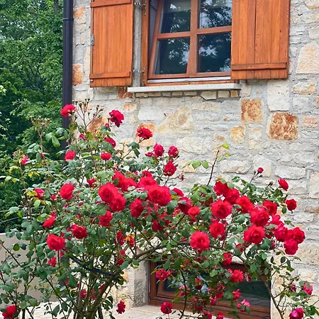 Lägenhet Paradiso Istriano - Oasi And Sole *