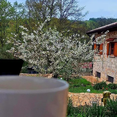 Paradiso Istriano - Oasi And Sole *