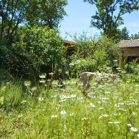 Apartman Paradiso Istriano - Oasi And Sole