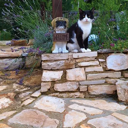 Paradiso Istriano - Oasi And Sole Apartman *