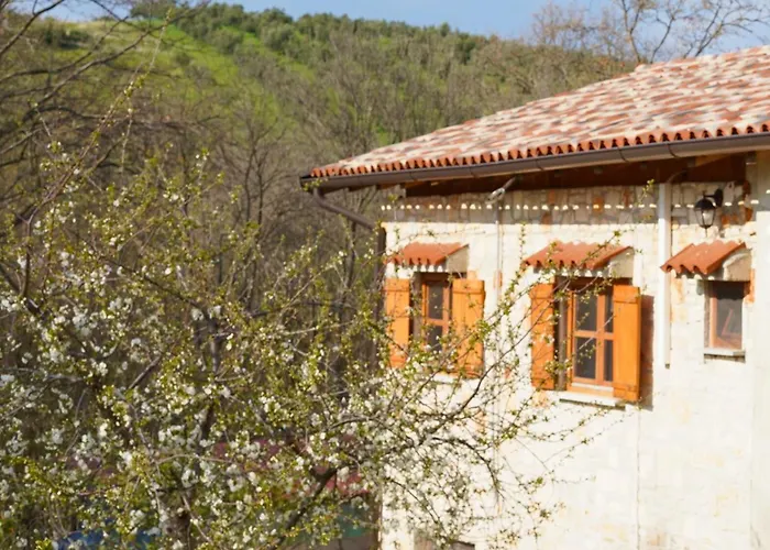 Paradiso Istriano - Oasi And Sole *