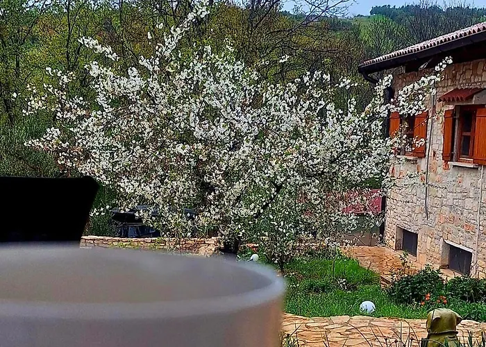 Paradiso Istriano - Oasi And Sole *