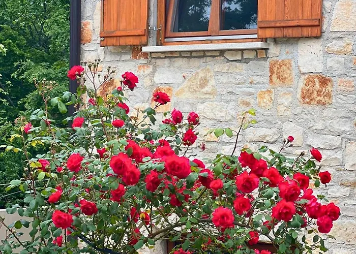 아파트 Paradiso Istriano - Oasi And Sole *